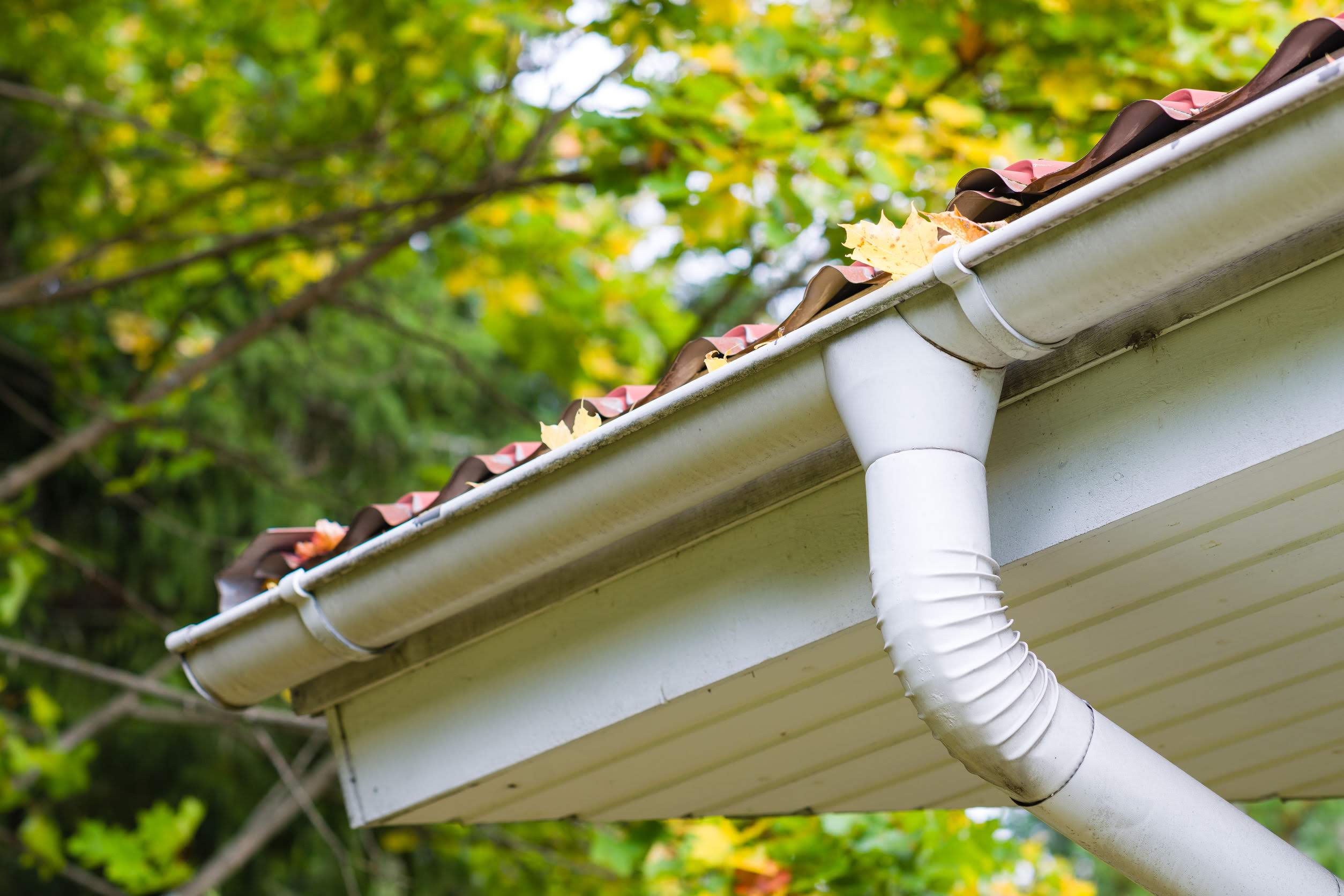 Zavaleta Gutter Cleaning LLC: Service Image-1 Zavaleta Gutter Cleaning LLC: Service Image-1